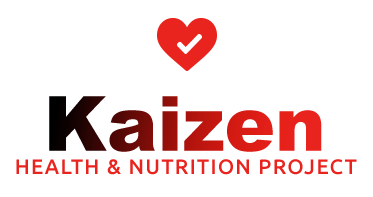 Kaizen program